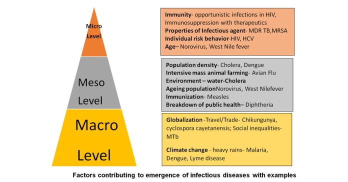 Emerging and re-emerging infections