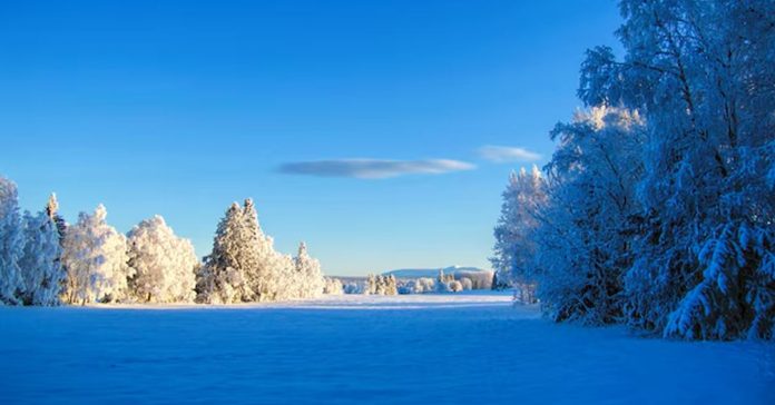 Winter Diseases and Homeopathy: A Natural Approach to Winter Health